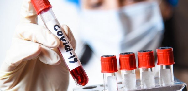 Gürcüstanda koronavirusun yeni ştammı aşkarlandı