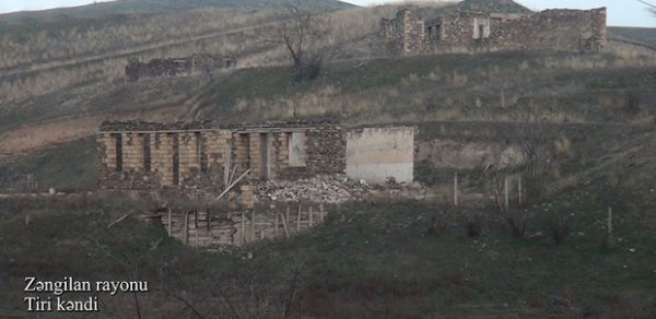 SOSİAL