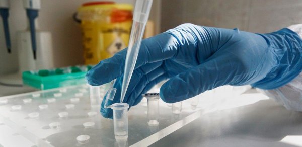 Gürcüstanda daha 780 nəfərdə koronavirus aşkarlanıb, 17 pasiyent ölüb
