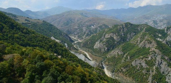 SİYASƏT