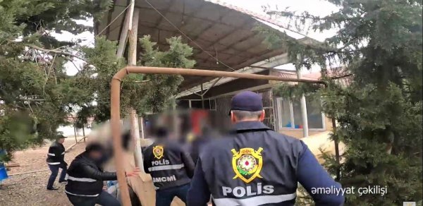 SOSİAL