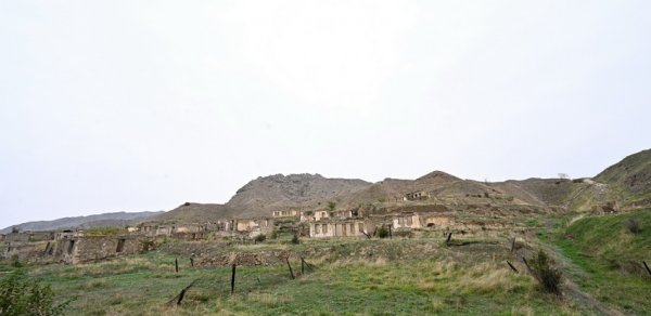 SİYASƏT