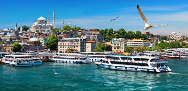 DÜNYA