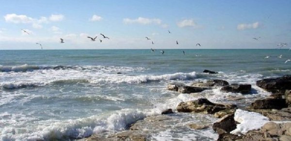 Azərbaycanda Xəzərin sahilinin donmasının səbəbi AÇIQLANDI