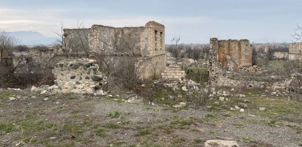 SİYASƏT