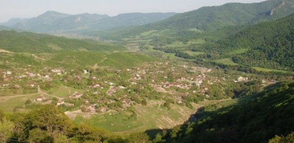 SİYASƏT