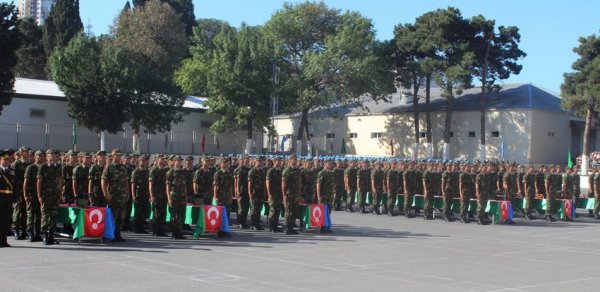 SOSİAL