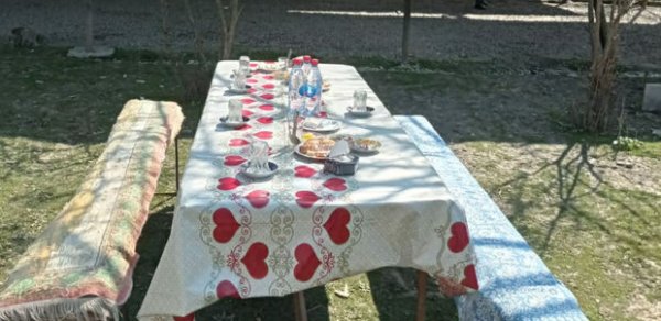 SOSİAL