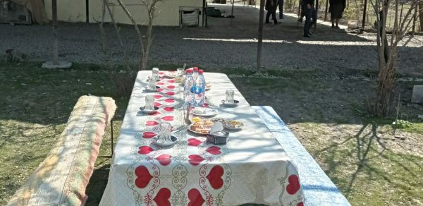 SOSİAL