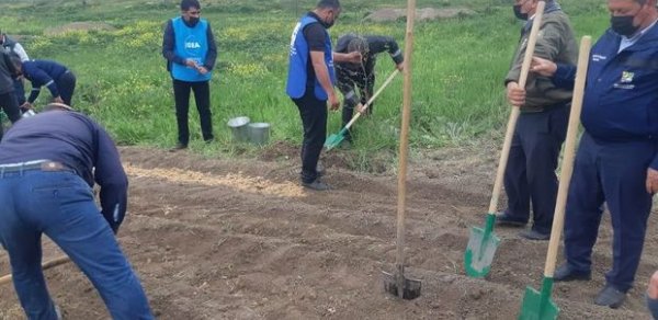 “Yaşıl Marafon” çərçivəsində Cəbrayıl və Qubadlı rayonlarında ağacəkmə aksiyası keçirilib