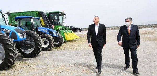 SİYASƏT