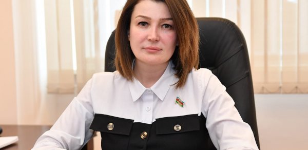 SİYASƏT