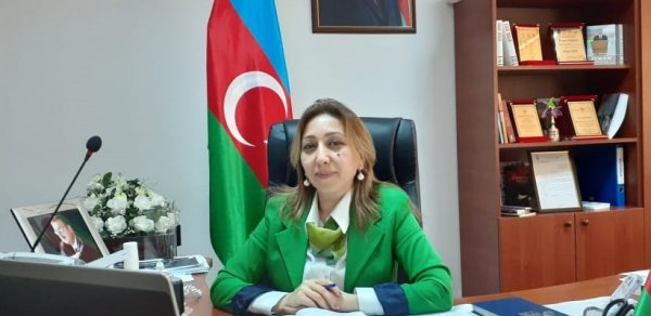 SİYASƏT