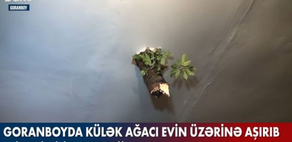 SOSİAL