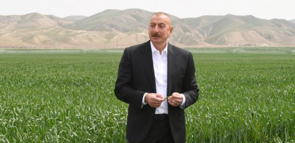 SİYASƏT