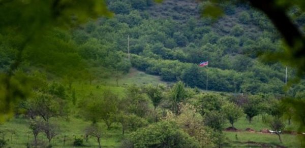 SİYASƏT