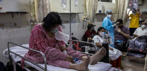 Hindistanda daha bir fəlakət – “Qara kif” epidemiyası