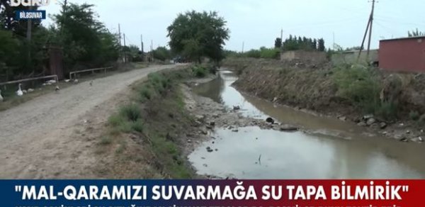 SOSİAL