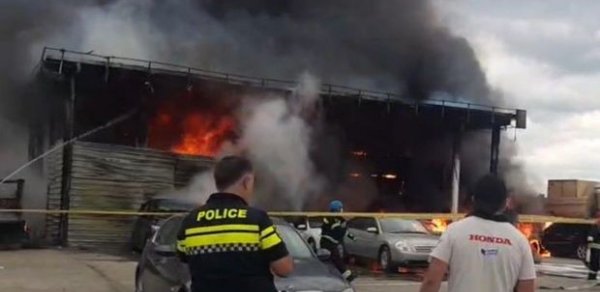 DÜNYA