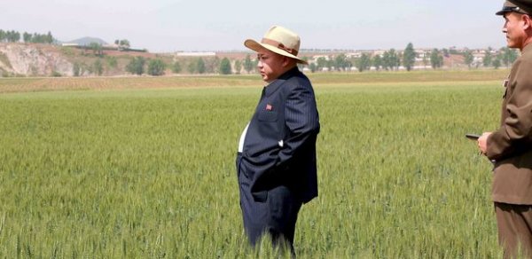 DÜNYA