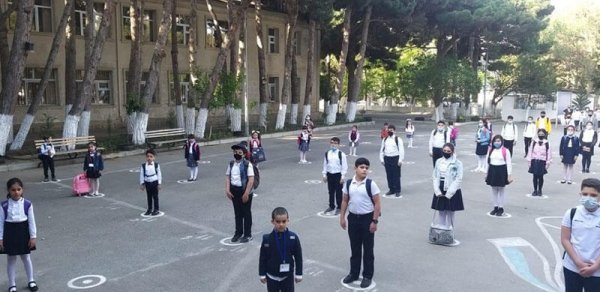 SOSİAL
