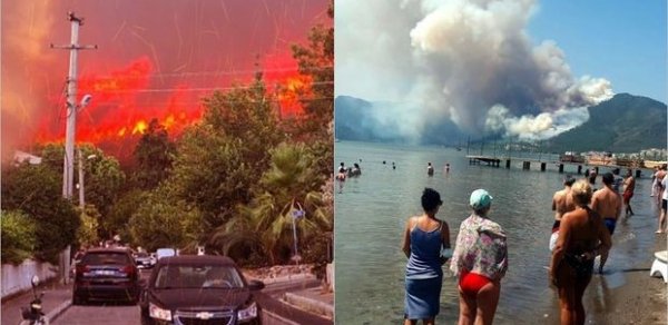 Türkiyədə meşə yanğınları tüğyan edir: Bodrum, Adana və Mersin alovların cəngində - VİDEO