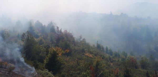 DÜNYA