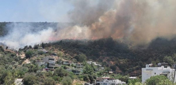 Bodrumda meşə yanğını nəzarət altına alındı