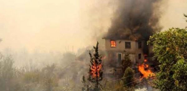 Antalyadakı yanğını törədən şəxs həbs olunub
