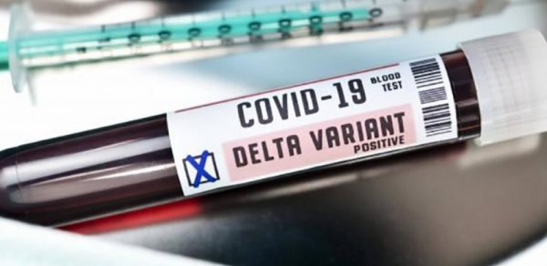 Gürcüstanda “delta plus” ştamına 10-a yaxın yoluxma qeydə alındı