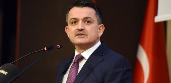 Türkiyədə bütün meşə yanğınları söndürülüb