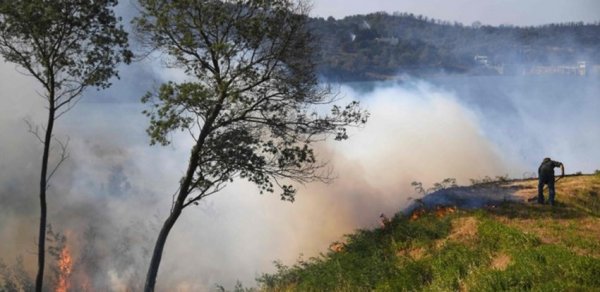 İstanbulda meşə yanğını başladı