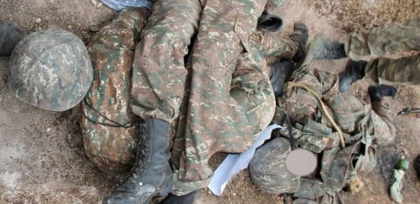 SİYASƏT