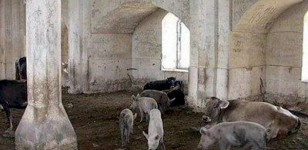 SİYASƏT