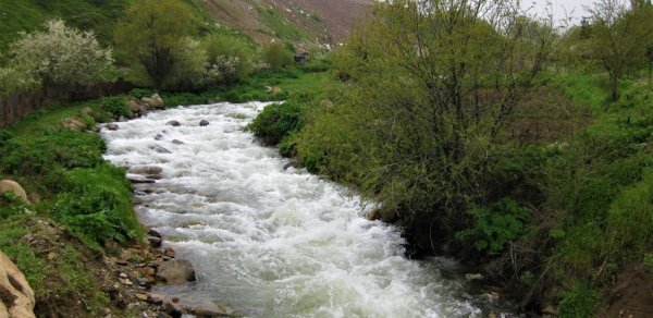 SİYASƏT