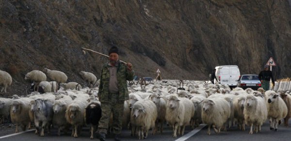 DÜNYA