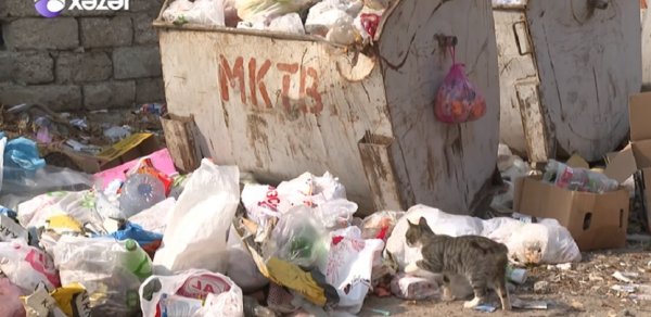 Bakıda zibilliklə bağlı iyrənc mənzərə: "Milçəklər ağzımıza dolur" - VİDEO