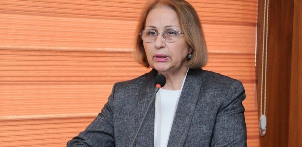 Dövlət Komitəsinin sədr müavini: "Monitorinq qruplarının işi bizi qane etmir"