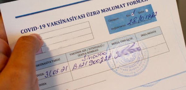 SOSİAL