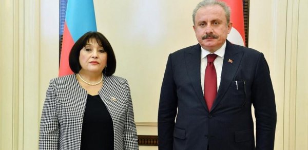 SİYASƏT