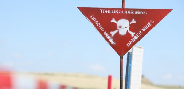 SOSİAL