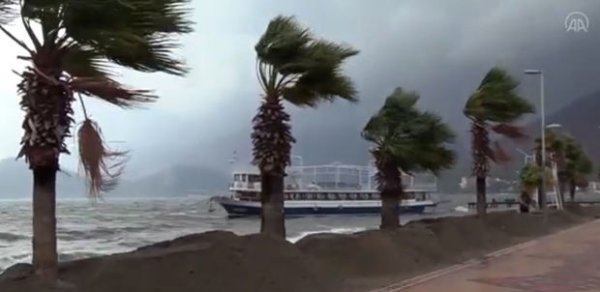 DÜNYA