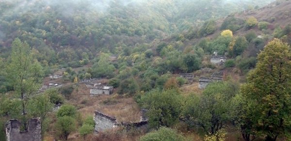 SİYASƏT