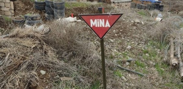 SOSİAL