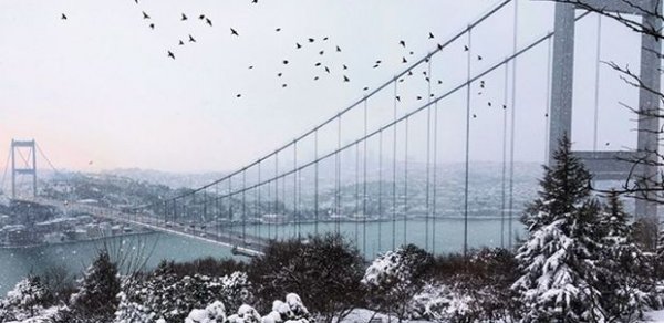 SOSİAL