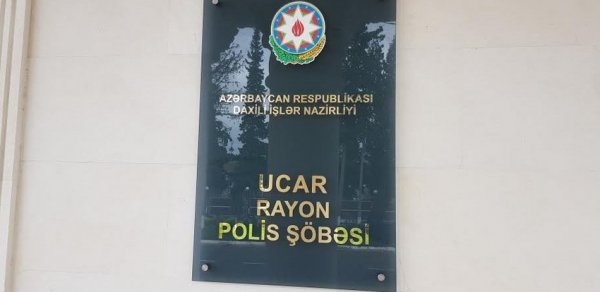SOSİAL