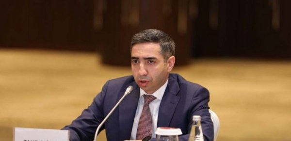 Zaur Əliyev: "Koronavirusun müalicəsi üçün Azərbaycana yeni dərmanlar gətiriləcək"