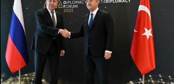 SİYASƏT
