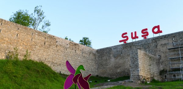 SOSİAL