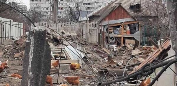 Rusiyalı general: "Xüsusi təyinatlılar məsciddəki müsəlmanları xilas edib"